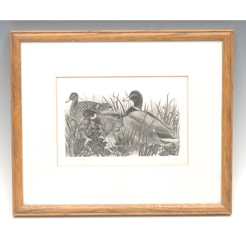 2367 - Yvonne Skargon (1931-2020) 
Ducks in Reeds 
signed, 5/15, wood engraving, 10cm x 15cm