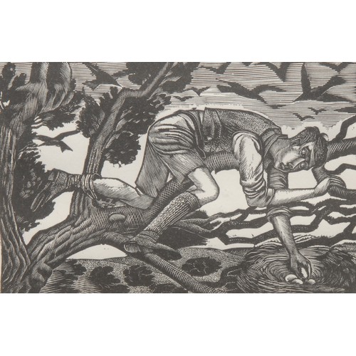 2090 - Eric Ravilious (1903-1942) 
Bird Nesting 
unsigned, 322/500, wood engraving, 9.5cm x 13.5cm