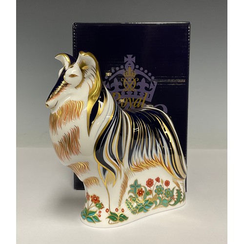 5023 - A Royal Crown Derby paperweight, Rough Collie, gold stopper, boxed