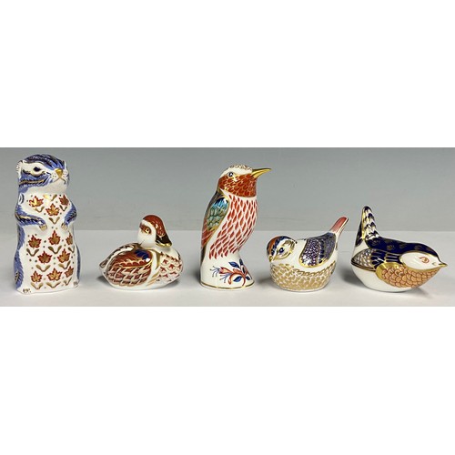 5546 - Royal Crown Derby paperweights - Hummingbird, Chipmunk, Wren, Firecrest, Duckling, all gold stopper ... 