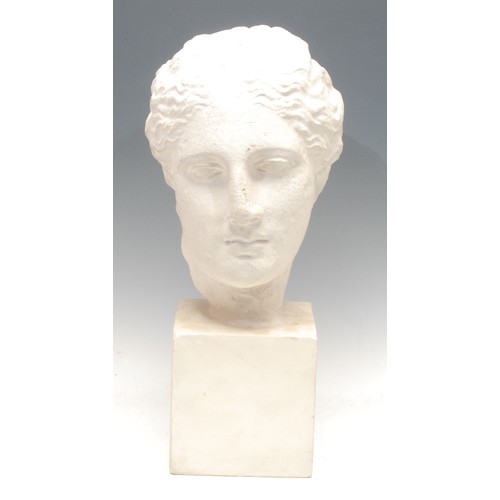 1012 - Antiquities - a plaster cast bust, the head of Venus, after the Ancient, square plinth, 44cm high ov... 