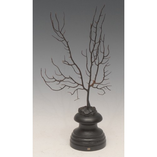 120 - Natural History - a black coral specimen, mounted for display, 32cm high