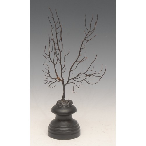 120 - Natural History - a black coral specimen, mounted for display, 32cm high