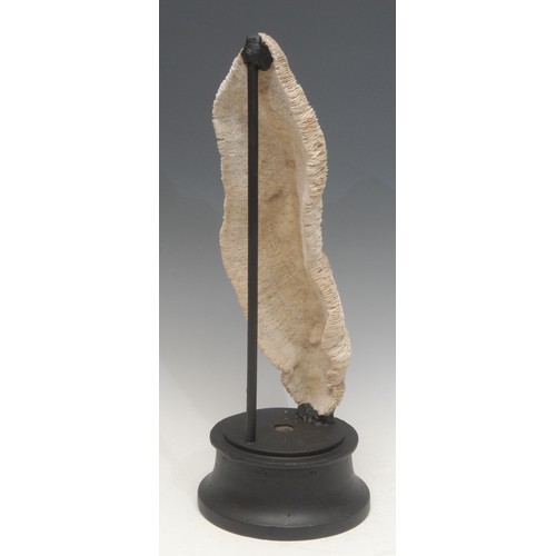 131 - Natural History - a model of a coral specimen, mounted for display, 45cm high overall