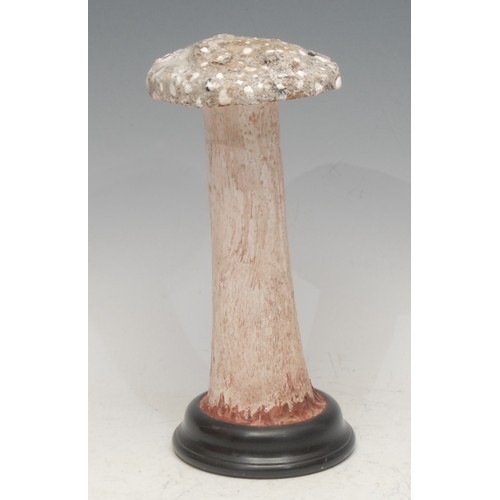 156 - Natural History - Mycology - a painted model of a fungus specimen, mounted for display, 21cm high ov... 