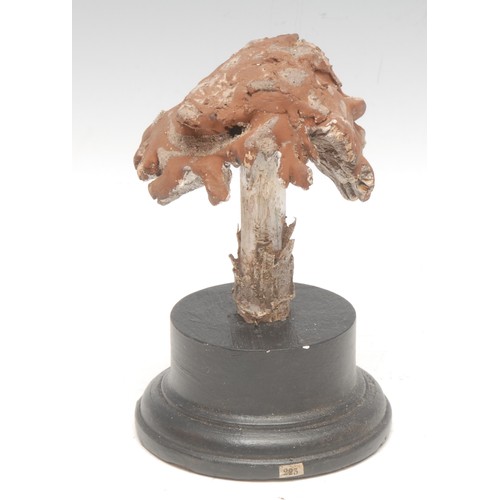 160 - Natural History - Mycology - a painted model of a fungus specimen, mounted for display, 23.5cm high ... 