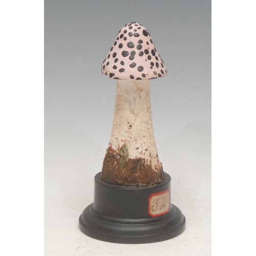 155 - Natural History - Mycology - a painted model of a fungus specimen, mounted for display, 17.5cm high ... 