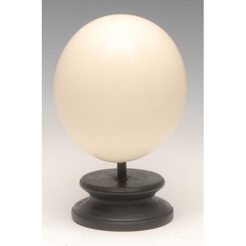 143 - Natural History - an ostrich egg specimen, mounted for display, 18cm high overall