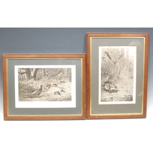 270 - Archibald Thorburn (1860-1935), a pair, The Foxhole and Pheasants, signed, lithographs, printed by T... 