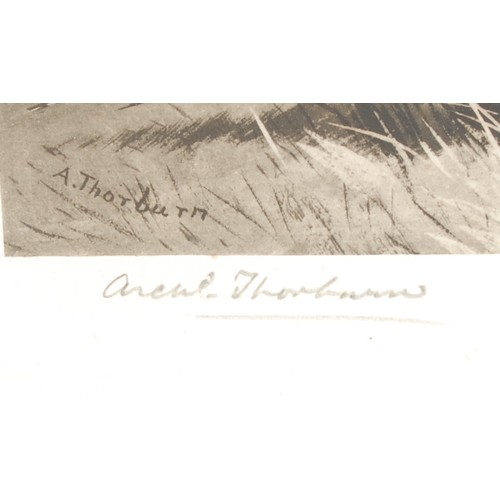 270 - Archibald Thorburn (1860-1935), a pair, The Foxhole and Pheasants, signed, lithographs, printed by T... 