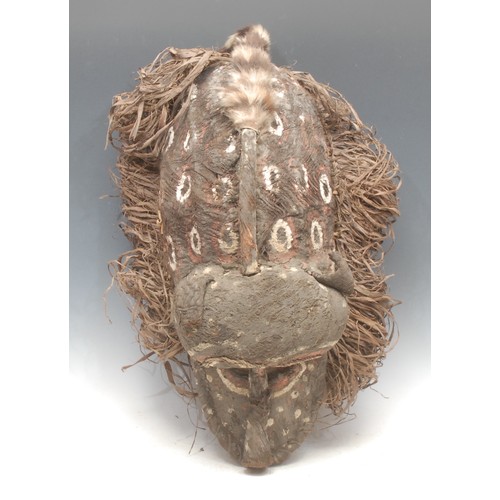 101 - Tribal Art - an African zoomorphic fibre helmet mask, decorated in white and red pigments and adorne... 