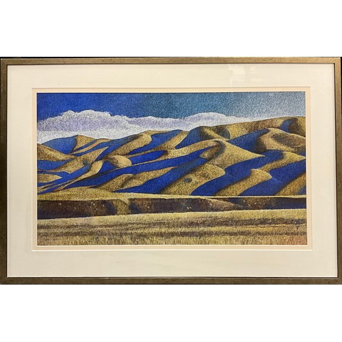 1043 - Wayne McPhail-Green (New Zealand), ‘Light Waves, Mackenzie Basin Foothills’, signed, pastel, 50cm x ... 