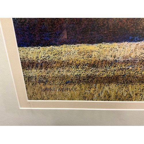 1043 - Wayne McPhail-Green (New Zealand), ‘Light Waves, Mackenzie Basin Foothills’, signed, pastel, 50cm x ... 