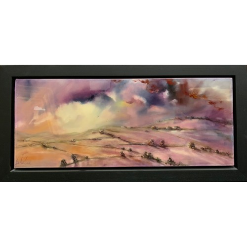 1045 - Julie Ann Scott (British, 20th century), A Passing Storm, signed, oil and resin on canvas, 41cm x 10... 