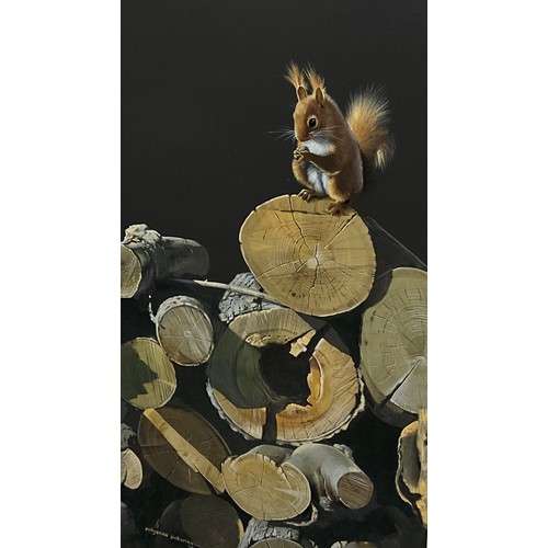 1076 - Pollyanna Pickering (1942 - 2018)
Red Squirrel on Birch Logs
signed, gouache, 60cm x 37cm