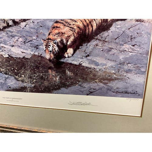 1081 - David Shepherd (British, 1931 - 2017), by and after, Tigers of Bandhavgarh, signed lithograph, limit... 