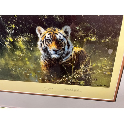 1081 - David Shepherd (British, 1931 - 2017), by and after, Tigers of Bandhavgarh, signed lithograph, limit... 