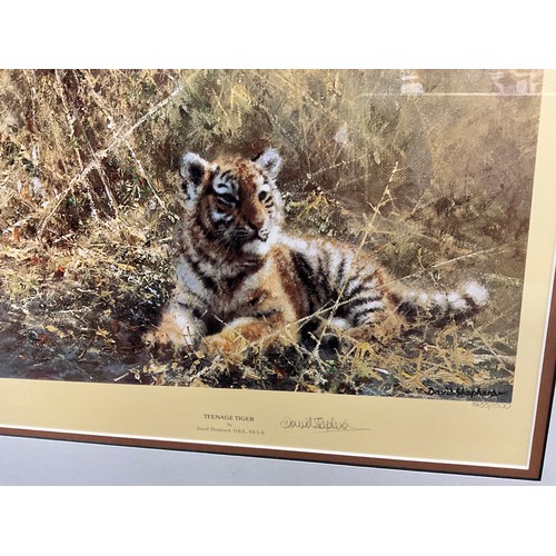 1081 - David Shepherd (British, 1931 - 2017), by and after, Tigers of Bandhavgarh, signed lithograph, limit... 