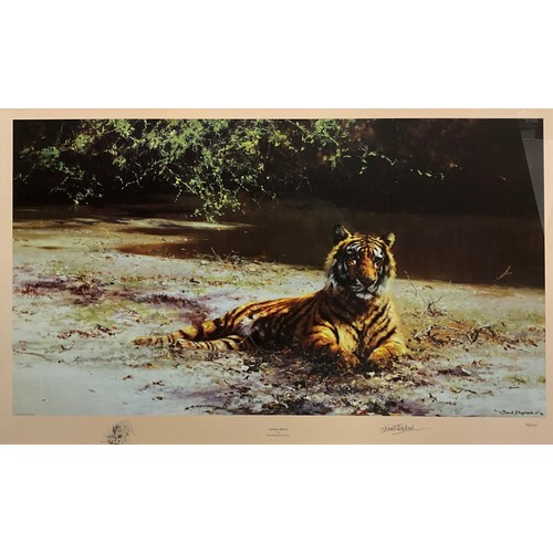 1082 - David Shepherd (British, 1931 - 2017), by and after, Indian Siesta, signed lithograph, limited editi... 