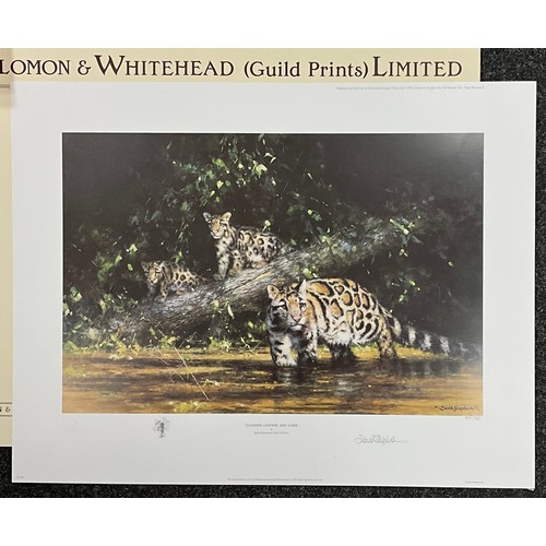 1084 - David Shepherd (British, 1931 - 2017), by and after,  Clouded Leopard and Cubs, signed in pencil to ... 