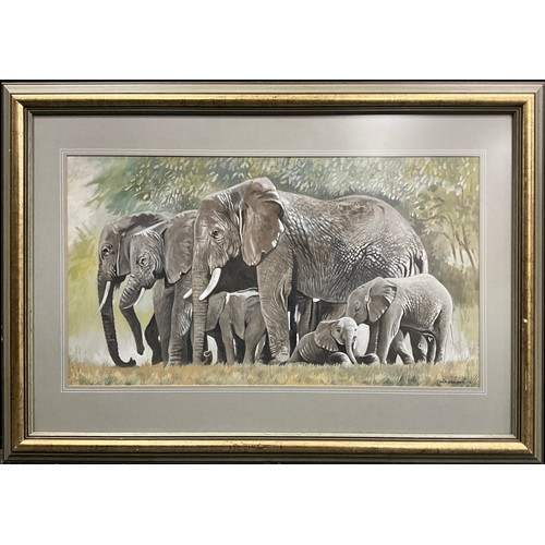 1092 - Derc Bendall (British, 20th century), African Elephants, a family group, signed, dated 1978, gouache... 