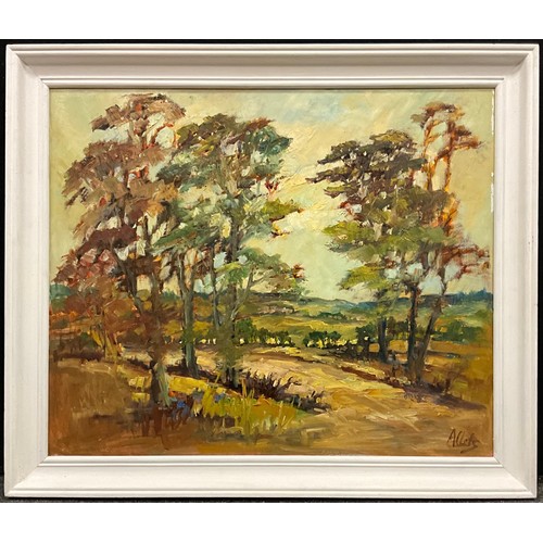 1104 - Yram Allets (Mary Stella) Edwards (1915-2009) 
Across the Moor 
signed, oil on board, 50.5cm x 61.5c... 