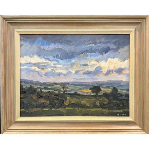 1146 - Trevor Tucker (Cornish School, 20th century), Near St. Neot, Bodmin Moor, signed, oil on canvas, 35.... 