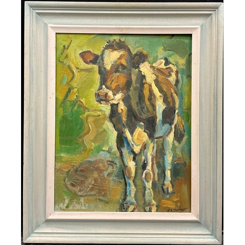 1148 - Trevor Tucker (Cornish School, 20th century), Cows at pasture, early morning, signed, oil on canvas,... 