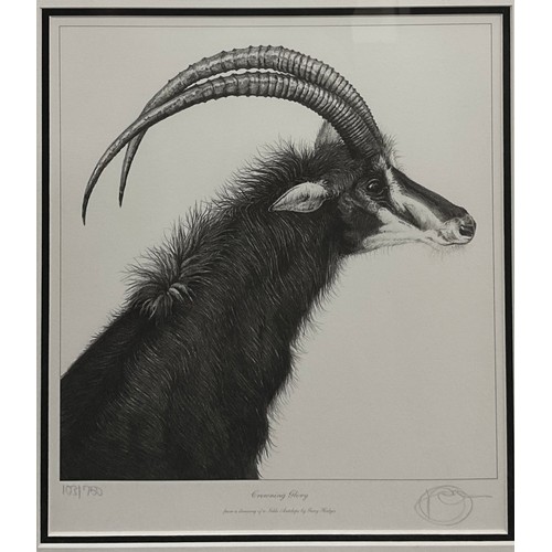 1203 - Crowning Glory, Antelope, by and after Gary Hodges (Bn.1954), limited edition print, 103/750, signed... 