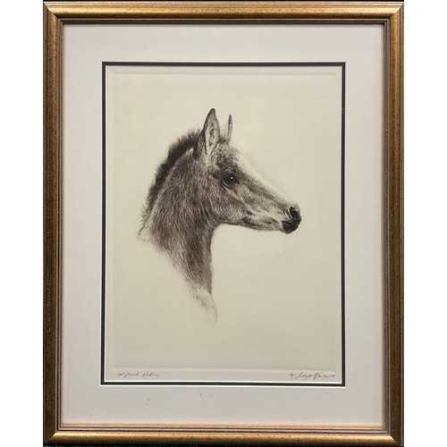 1243 - Kurt Meyer-Eberhardt (1895-1977), by and after, Head study of a foal, signed in pencil lower right m... 