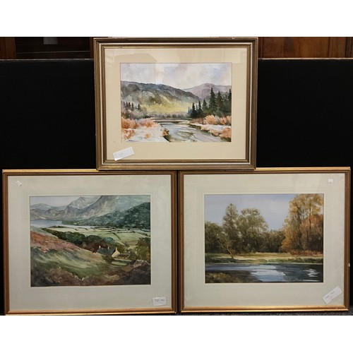 1296 - Digby Page (bn. 1945), a group three, Mountain, and Lakeland landscapes, each signed, watercolours, ... 