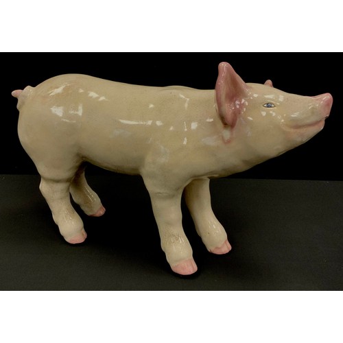 242 - A French, glazed ceramic, Butcher’s window display pig, 38cm x 53cm, early 20th century.