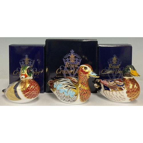 33 - A Royal Crown Derby paperweight, Carolina Duck, gold stopper, boxed; others, Mallard, gold stopper, ... 