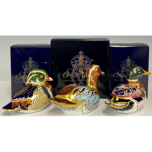 33 - A Royal Crown Derby paperweight, Carolina Duck, gold stopper, boxed; others, Mallard, gold stopper, ... 