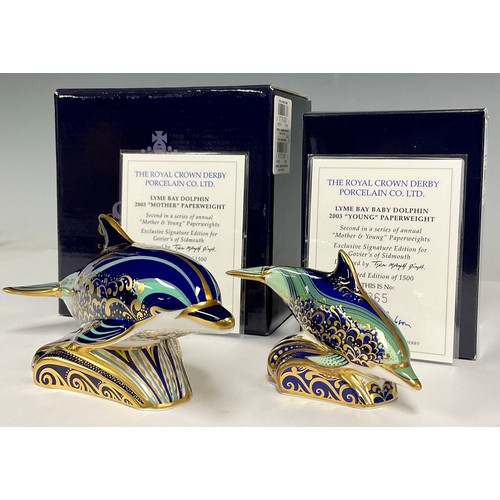 36 - A Royal Crown Derby paperweight, Lyme Bay Dolphin, exclusive signature edition for Goviers of Sidmou... 