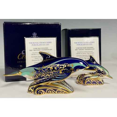 36 - A Royal Crown Derby paperweight, Lyme Bay Dolphin, exclusive signature edition for Goviers of Sidmou... 