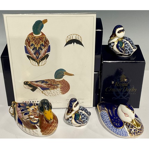 314 - A Royal Crown Derby paperweight, Mallard, gold stopper, artwork, boxed; others, Sitting Duckling [x2... 