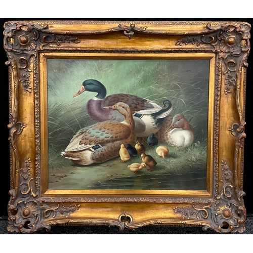 190 - Warren (British School, 20th century), A Family of Mallards, signed, oil on canvas, 50.5cm x 61cm.