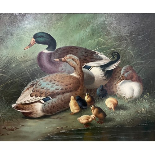 190 - Warren (British School, 20th century), A Family of Mallards, signed, oil on canvas, 50.5cm x 61cm.