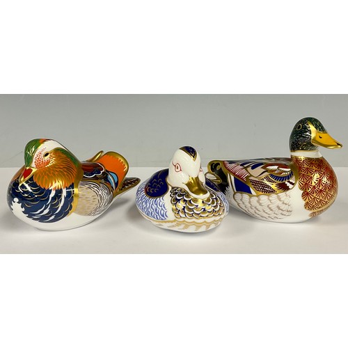 12 - A Royal Crown Derby paperweights, Mallard, date mark for 1998 (LXI), 15cm long, gold stopper; others... 