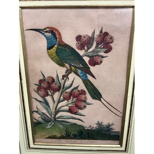 848 - A set of six 18th/19th century hand-coloured Ornithological engravings, after George Edwards, The Ki... 