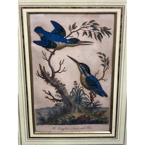 848 - A set of six 18th/19th century hand-coloured Ornithological engravings, after George Edwards, The Ki... 