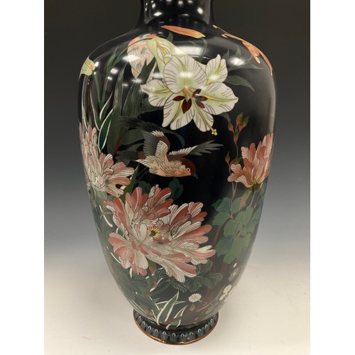 1417 - A large Japanese cloisonné enamel baluster vase, stylized with flying birds and flowers on a deep pu... 