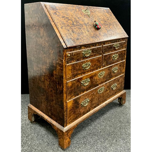 1542 - A George II/early III mulberry or 'field maple' burr bureau, the fall top enclosing a fully fitted i... 