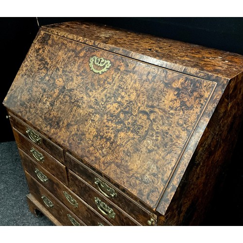 1542 - A George II/early III mulberry or 'field maple' burr bureau, the fall top enclosing a fully fitted i... 