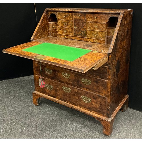 1542 - A George II/early III mulberry or 'field maple' burr bureau, the fall top enclosing a fully fitted i... 