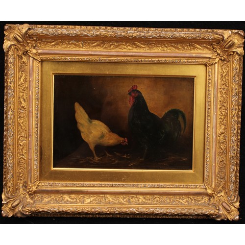 883 - English School (19th century) 
Cockerel and Hen 
unsigned, oil on board, 15.5cm x 23cm