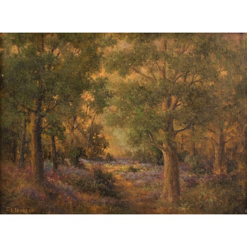 1064 - Charles Langton Lockton (1856–1932) 
Woodland Glade 
signed, oil on board, 24cm x 32cm