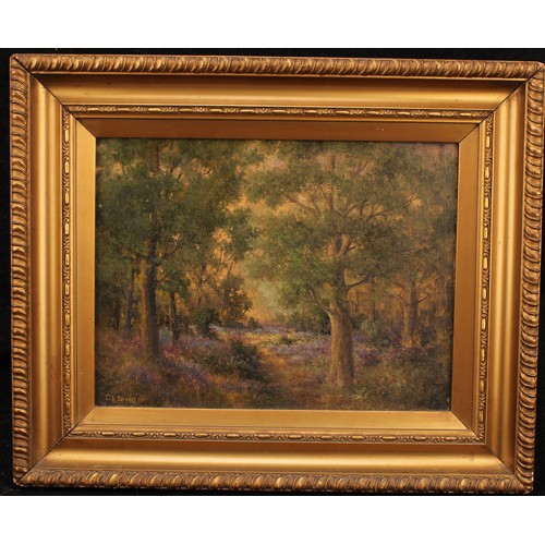 1064 - Charles Langton Lockton (1856–1932) 
Woodland Glade 
signed, oil on board, 24cm x 32cm