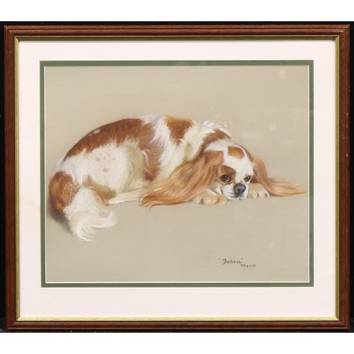 1104 - P.B. (English School, mid-century) 
Portrait of Duchess the Spaniel 
monogrammed, dated 9/3/65, past... 